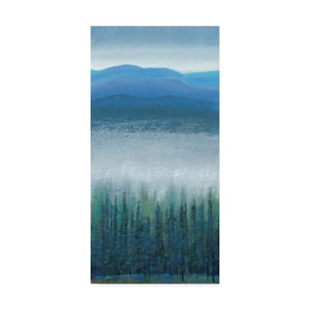 Tim Otoole 'Valley Fog I' Canvas Art,24x47